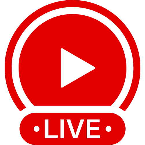 Dress Twerk No Panties | Live Webcam Shows & Interactive Adult Entertainment